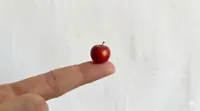 Rot Gelb gefärbt