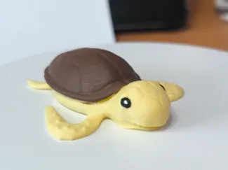 Turtle