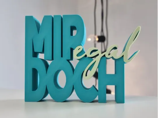 " Mir Doch egal " - 3D Statement