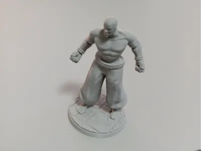 Human Monk Dungeons & Dragons 
