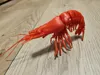 Single Color - 0.12mm layer, 2 walls, 10% infill