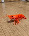 0.12mm layer, 2 walls, 10% infill