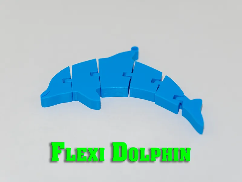 Flex dolphin keychain
