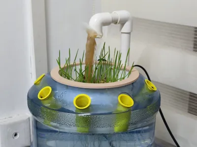 Fish Tank Filtration + Plant Cultivation