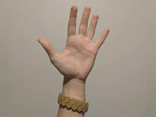 https://makerworld.bblmw.com/makerworld/model/USa19a5115dded24/design/2024-09-28_0e5a3a6d8a5c58.jpg