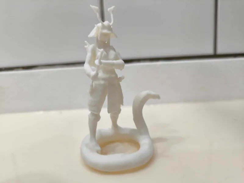 female warrior with snake