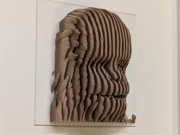 https://makerworld.bblmw.com/makerworld/model/USa1a124fc54eb43/design/2025-02-16_1b1a3ba356c53.jpg
