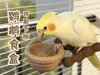 Parrot Food Box (Removable Version, 7cm diameter, 4cm height)