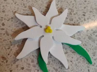 0.2mm layer, 2 walls, 15% infill gyroid
