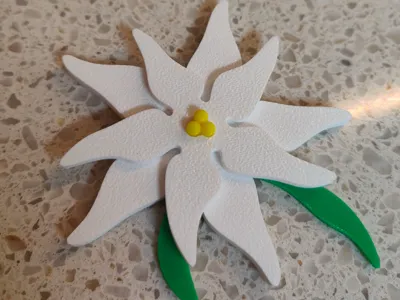 Edelweiss fridge magnet