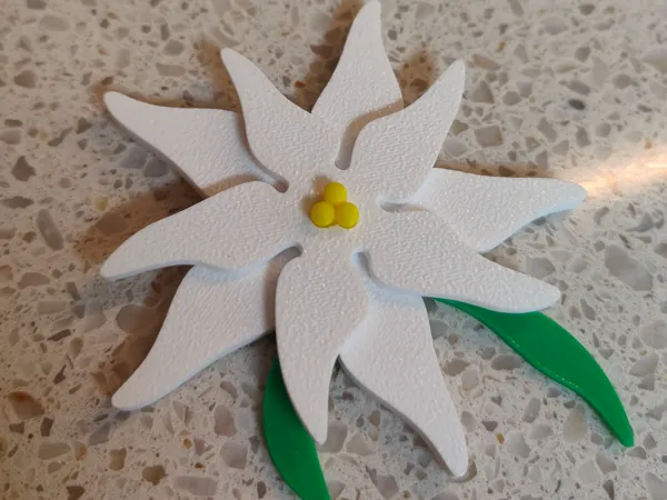 https://makerworld.bblmw.com/makerworld/model/USa1a22ed8b9d428/design/c1671e57b6869097.jpg