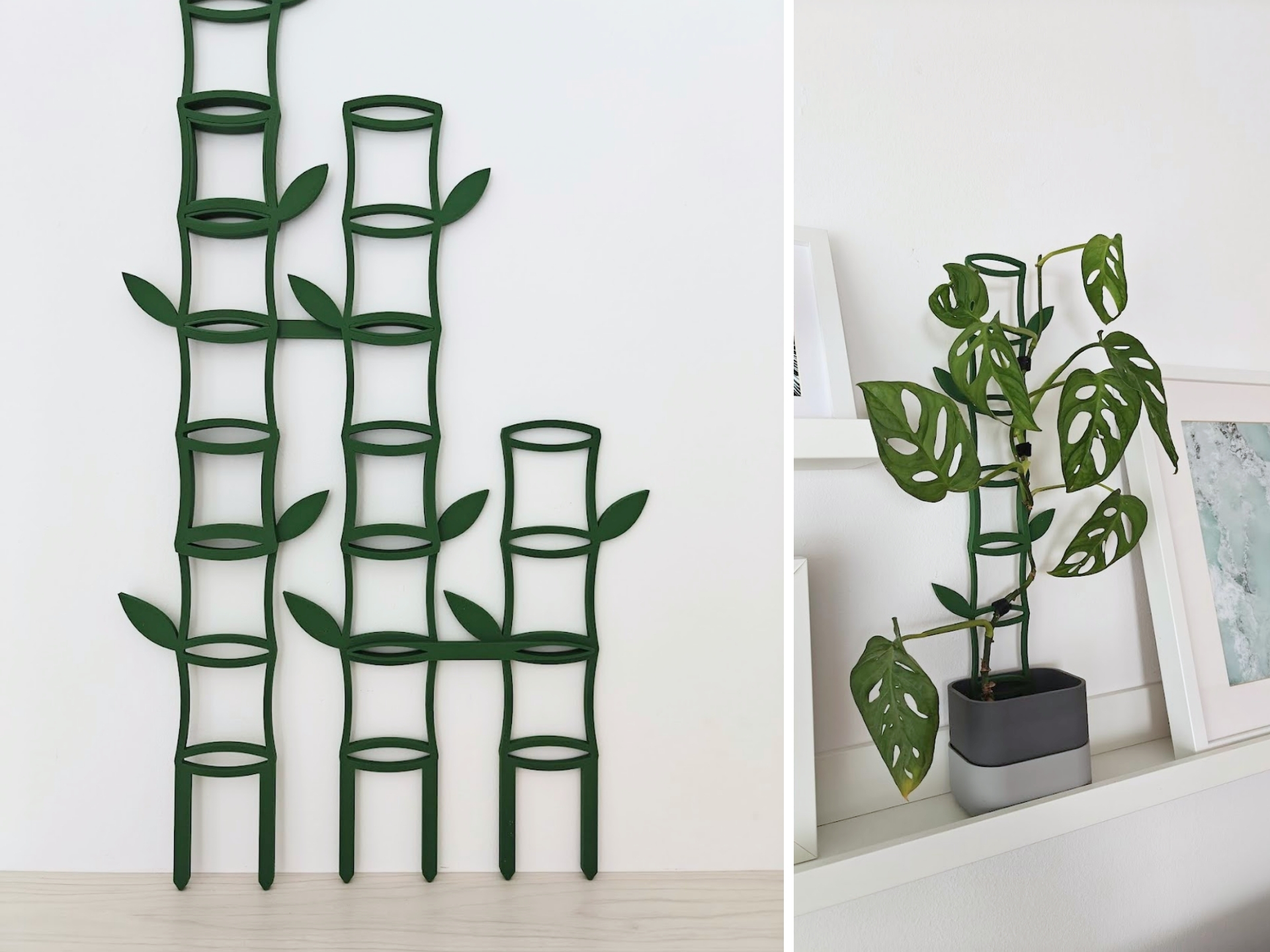 Extendable bamboo trellis