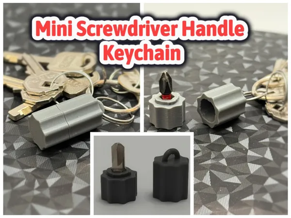 https://makerworld.bblmw.com/makerworld/model/USa1ac3932cab3a/design/29362deb0490076b.png