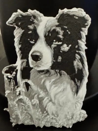 Collie Hueforge 