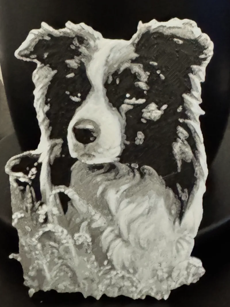 Collie Hueforge 