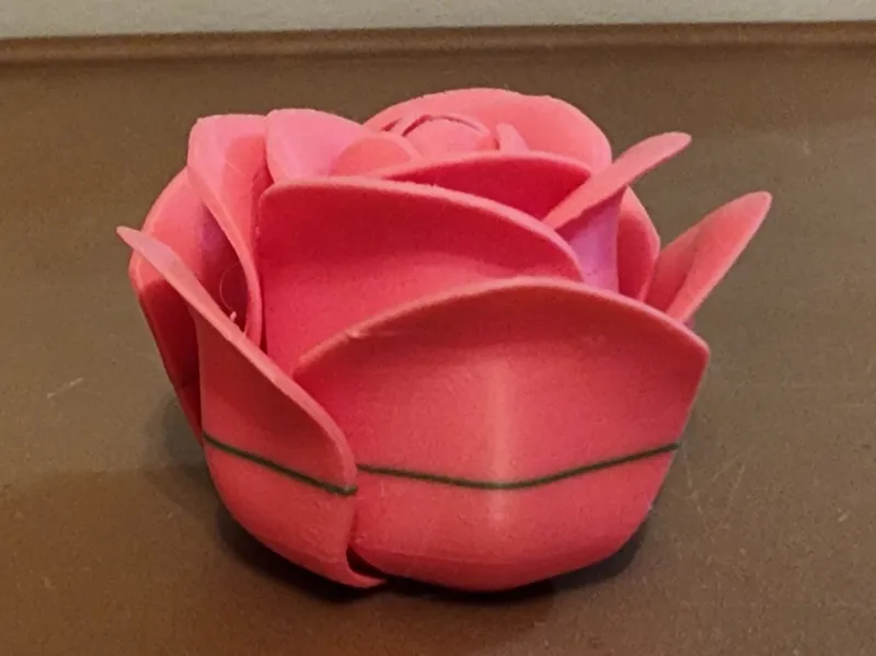 Wonderland Rose