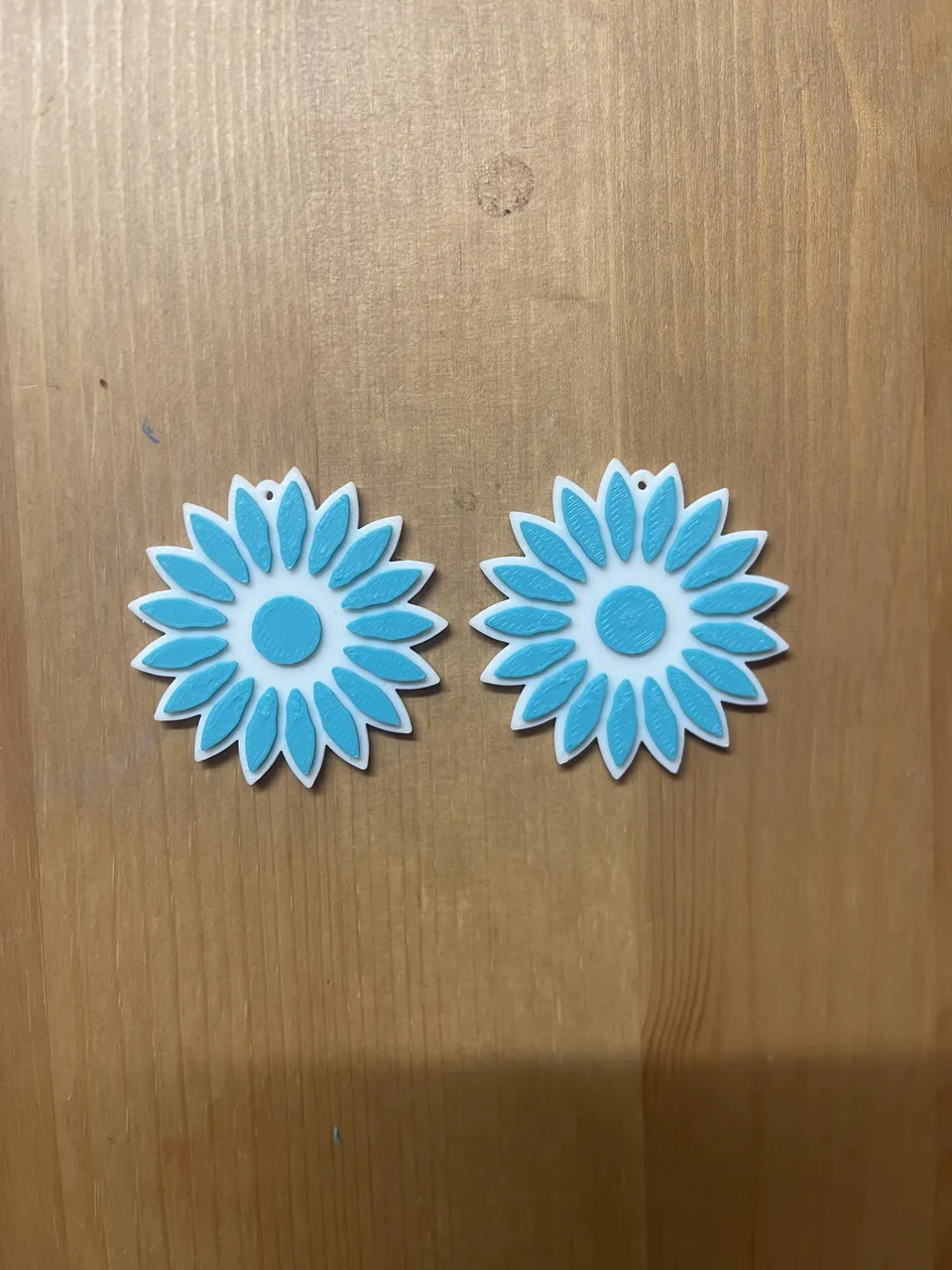 Earrings view 2