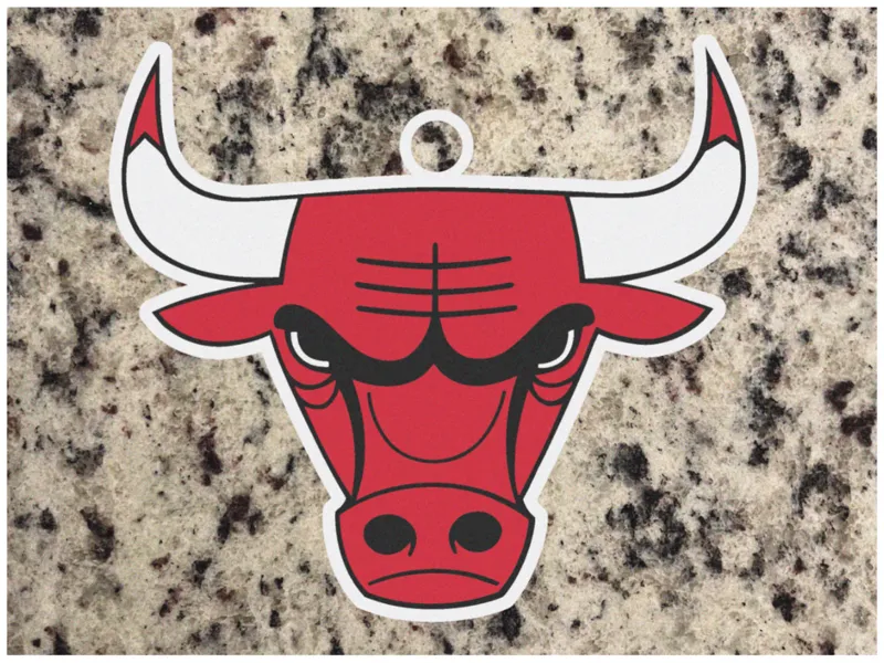Oversized Rally Chain - Chicago Bulls NBA Hype