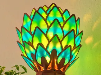 Moduluma - Two Colored Verdantia