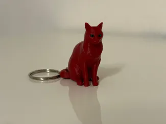 Gatti Personalizzabili