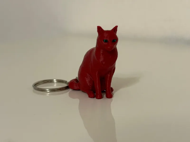 Gatti Personalizzabili