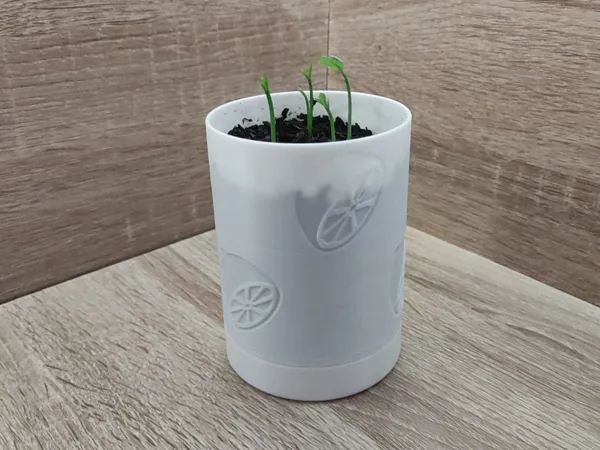 https://makerworld.bblmw.com/makerworld/model/USa1bd457ff5f29f/design/2025-03-15_30a73e326ebbc.jpg
