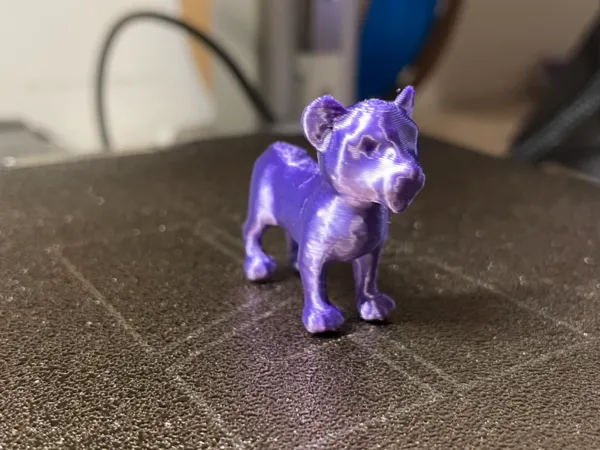 Bébé lion miniature