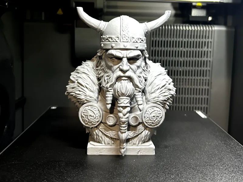 Viking Bust