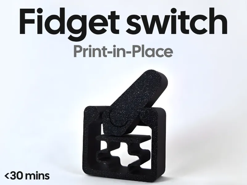 Fidget switch