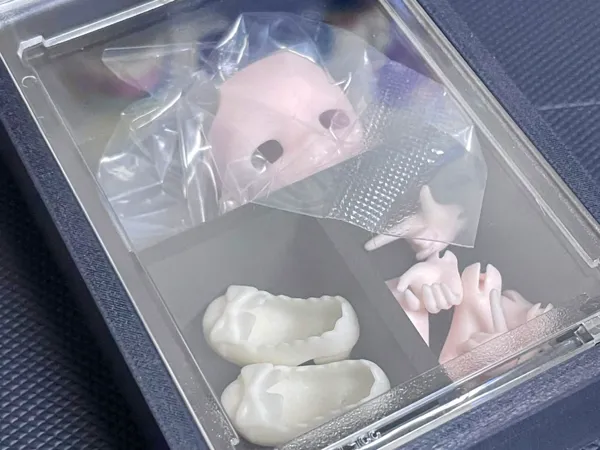 https://makerworld.bblmw.com/makerworld/model/USa1c8981832caa8/design/bd303ebcca5d0394.jpg