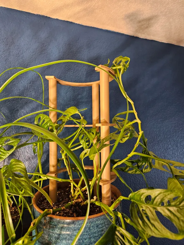 https://makerworld.bblmw.com/makerworld/model/USa1caf1442a9af1/design/2023-12-28_ae16f00f9a7e.jpg