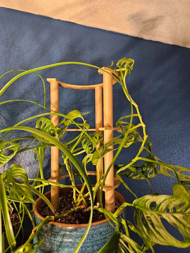 Stacking Plant Support