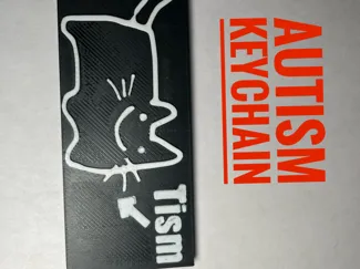cat autism keychain no ams