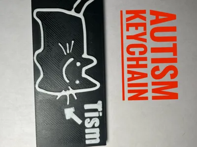 cat autism keychain no ams