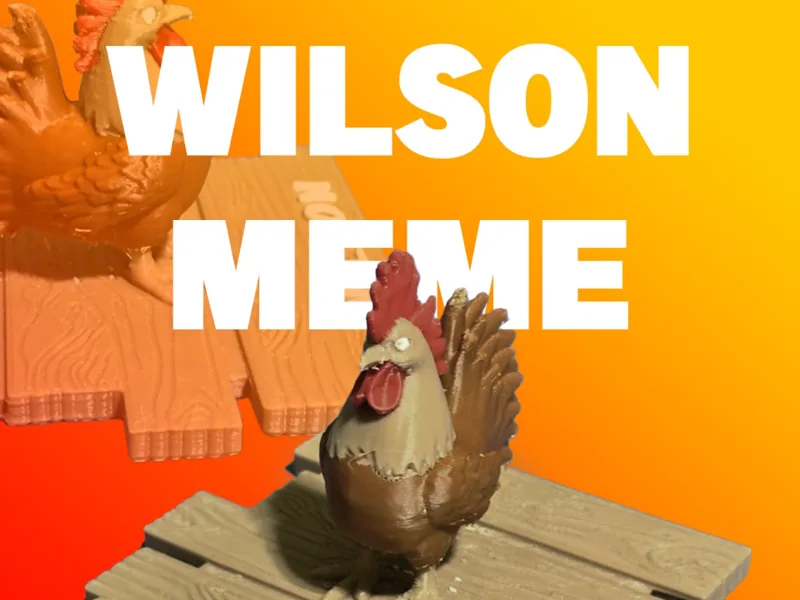 Wilson the Chicken Meme