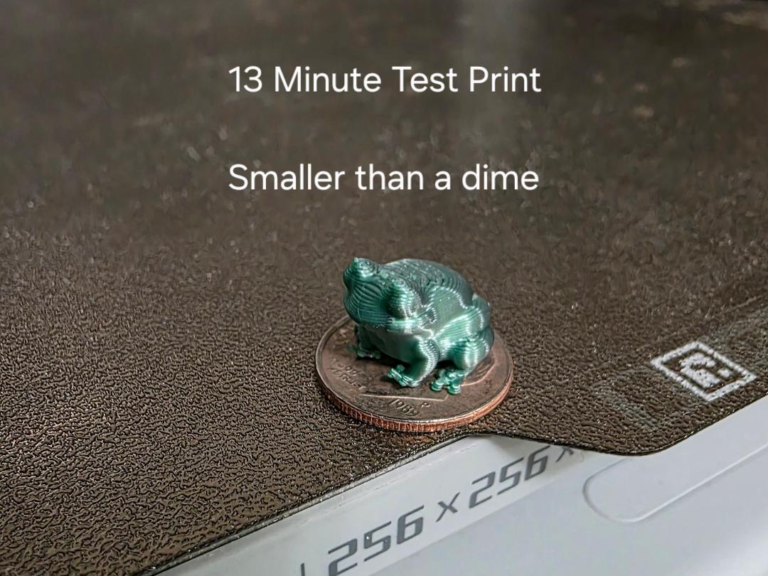 Tiny Frog  13 MIN Test Print