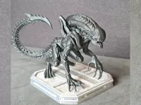 0.2mm layer, 3 walls, 10% infill