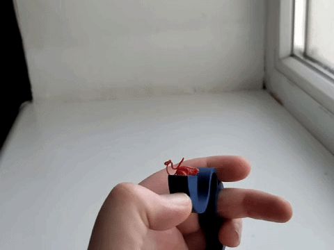 Handy Poop Launcher