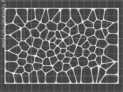 cell plate