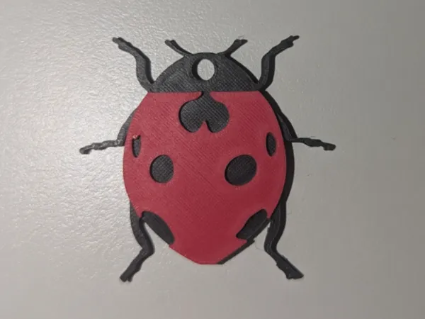 https://makerworld.bblmw.com/makerworld/model/USa1eda7ab705a5f/design/2025-02-01_413551bc046df.jpg