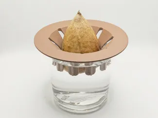 Avocado planter