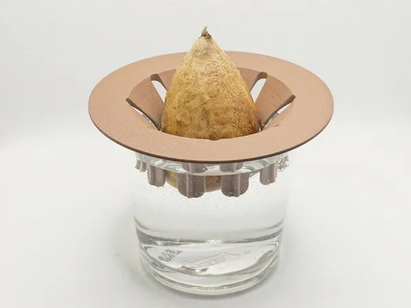 https://makerworld.bblmw.com/makerworld/model/USa1f060f8032949/design/2024-11-09_678cf763189b1.jpg