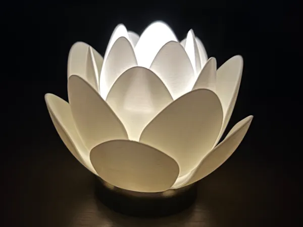 https://makerworld.bblmw.com/makerworld/model/USa1f596c846e583/design/2025-03-31_a4baa4b1316a48.jpeg