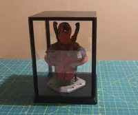 Vitrine de présentation (verre épais) — photo 3