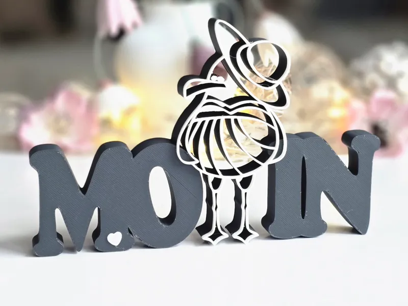 Deko Schriftzug MOIN mit Möwe