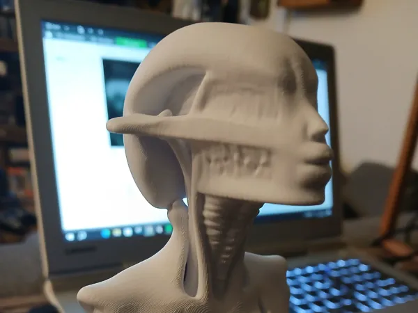 https://makerworld.bblmw.com/makerworld/model/USa1fd9624c86ca2/design/2025-03-25_3eaceb0f0171b.jpg