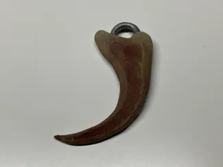Velociraptor claw pendant