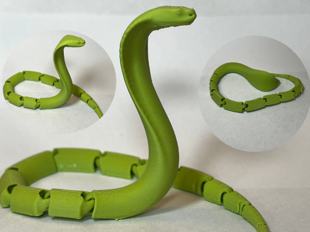 Wiggle Snake - Flexi toy