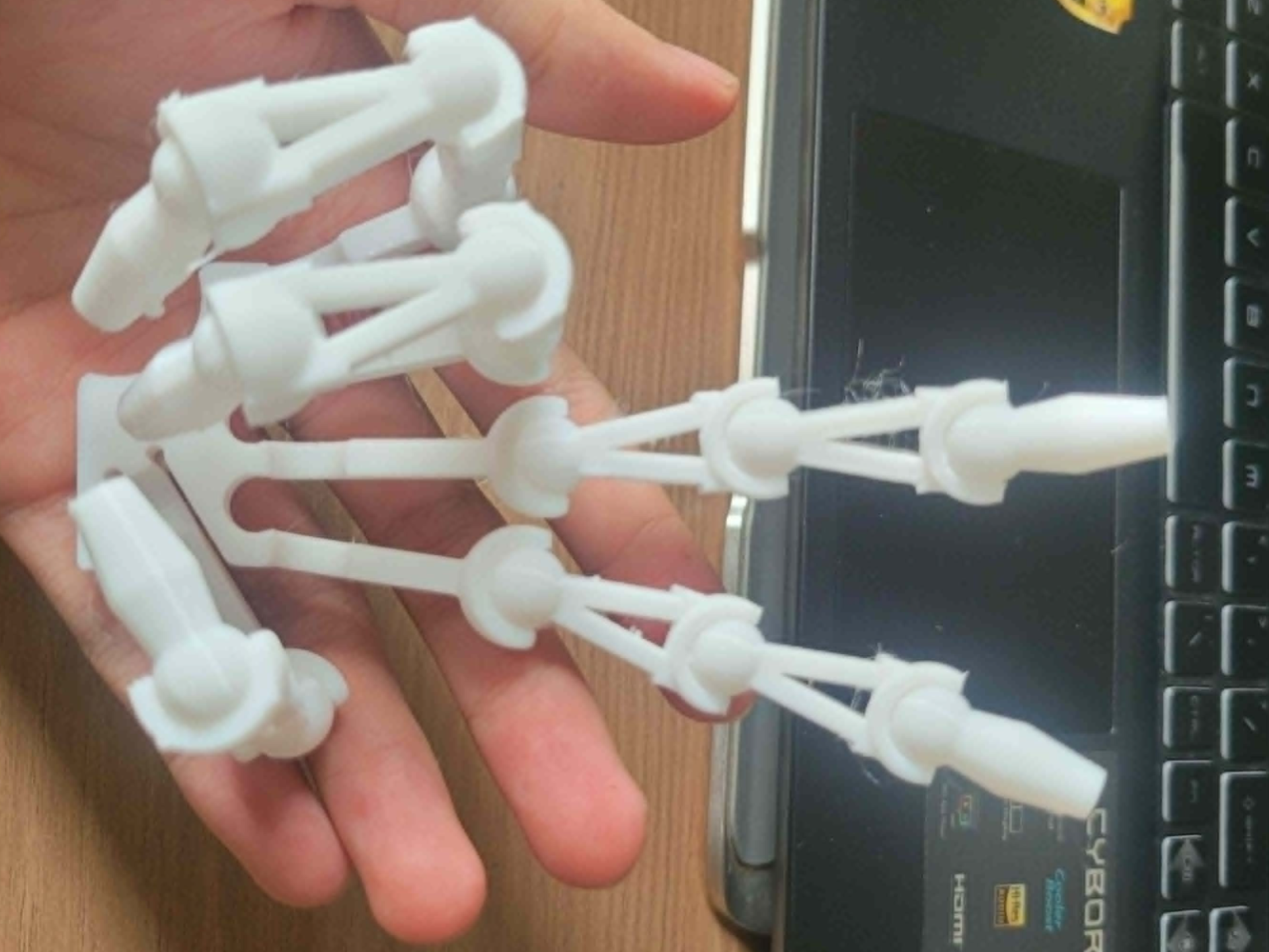Articulated Skeleton Hand (Snap-Fit Joints)