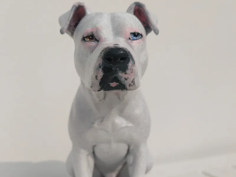 Pitbull modello